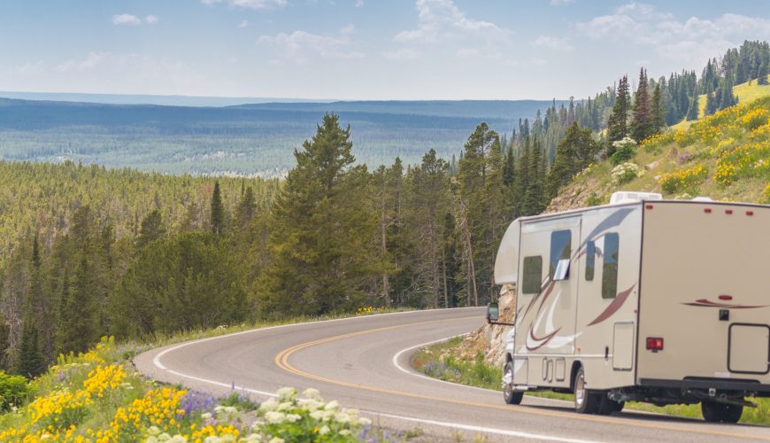 Explore Texas Freedom with Roaming Bears RV
