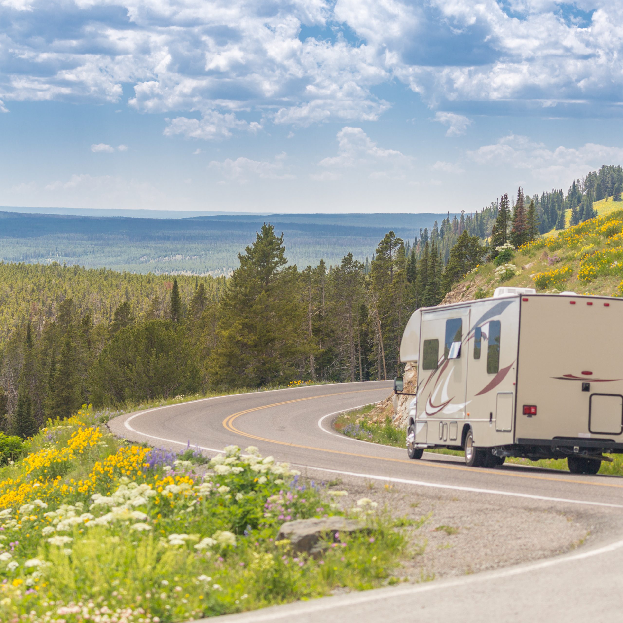 Explore Texas Freedom with Roaming Bears RV